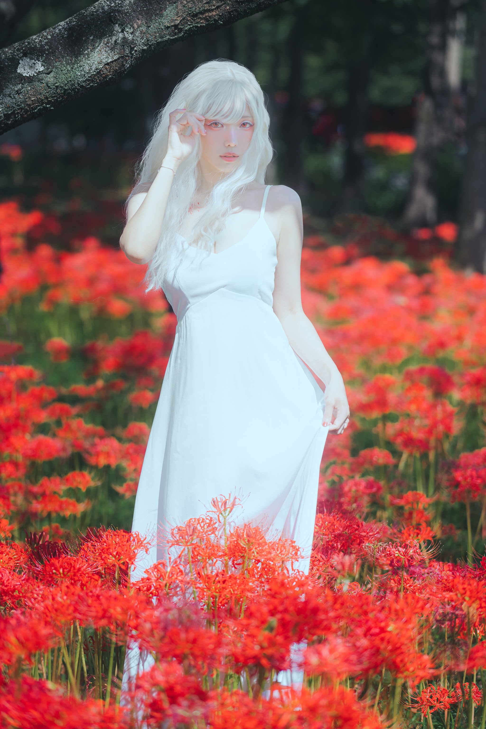 ElyEE子 - NO.153  B-White spider lily 白瓷彼岸 [27P]-XikXak